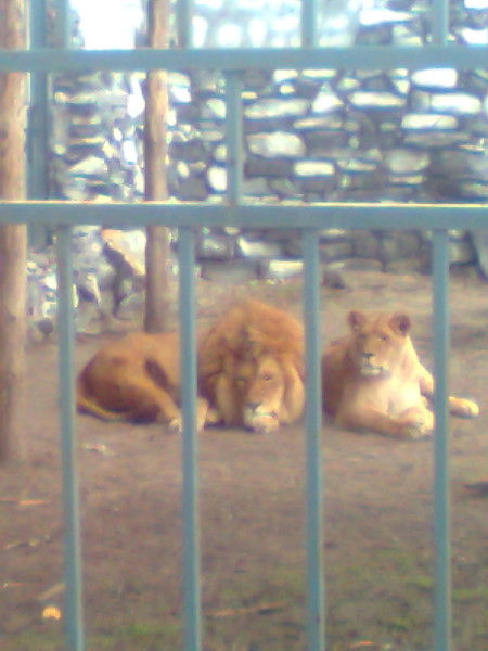 Помощь В Раскрутке