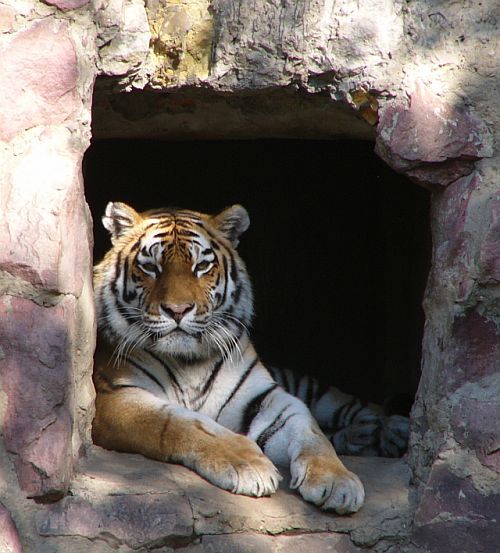 Руслан Надыров