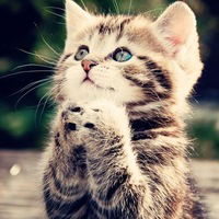 Настя Зайка