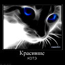Мельникова Александра