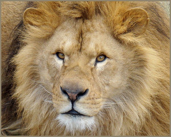 Антон Сабиров