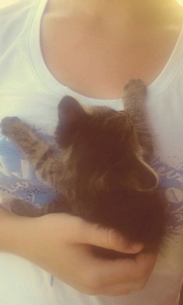 Ксения Тарабан