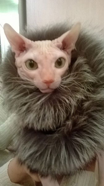 Алёна Будай