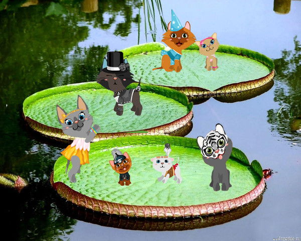 Снежок Де Ловатто Коше