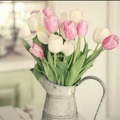 Сымбат Табриз