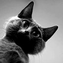 Владислав Силкин