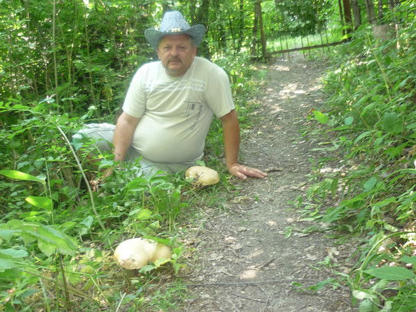 Валерий Пипиляшко