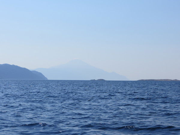 Михаил Косинич