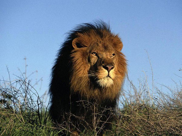 Еврейский Партной