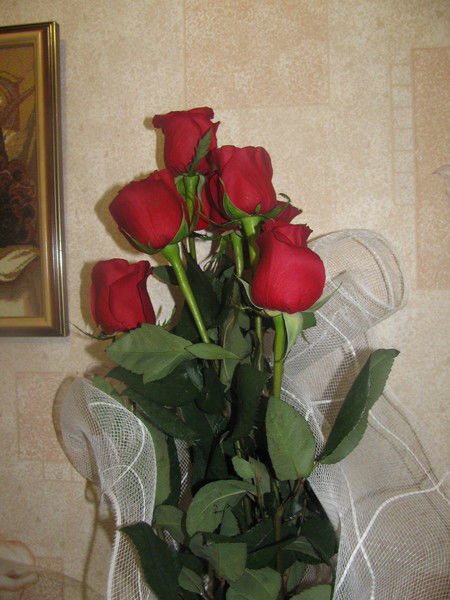 Татьяна Музыка