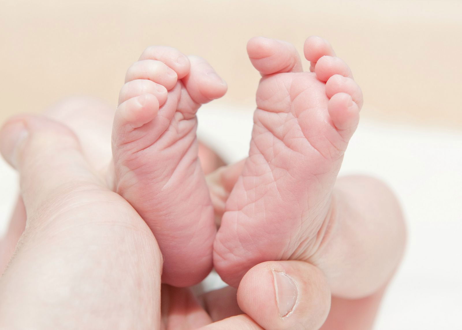 Анастасия Спиридонова