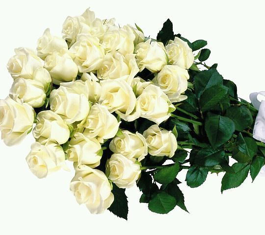 Ольга Кузьмина