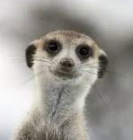 Александр №№