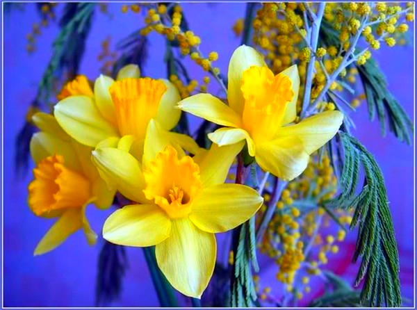 Наталья Григорьева