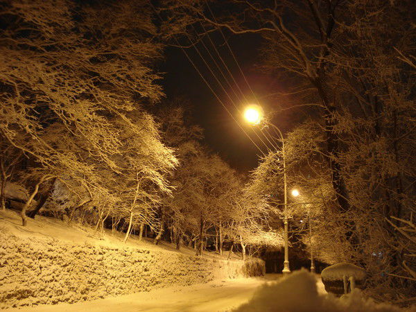 Александр Мокроусов