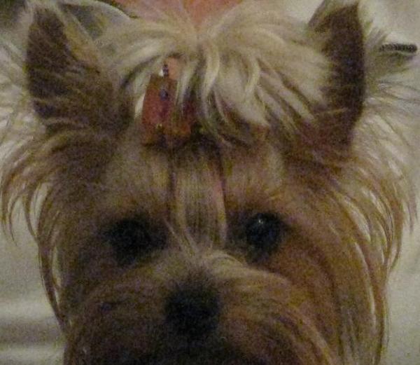 Наталья Кочугина