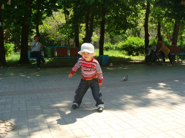 Алексей Товарчи