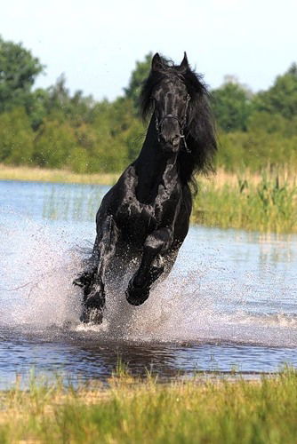 Соболевский Сергей