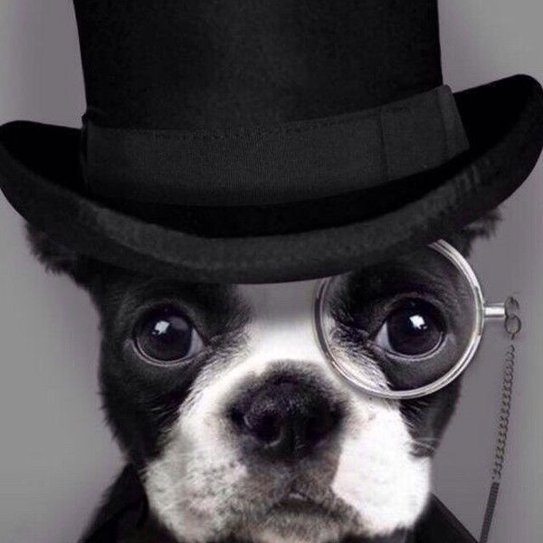 Ирина Евдокимова