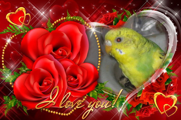 Лилия Лялина