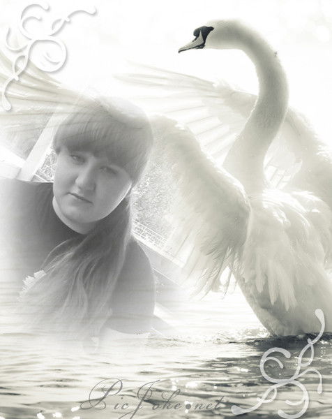 °•°•lera •°•°