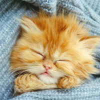 Елена Ххххх