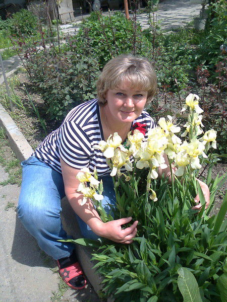 Елена Меркер