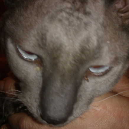 Любовь Круглова