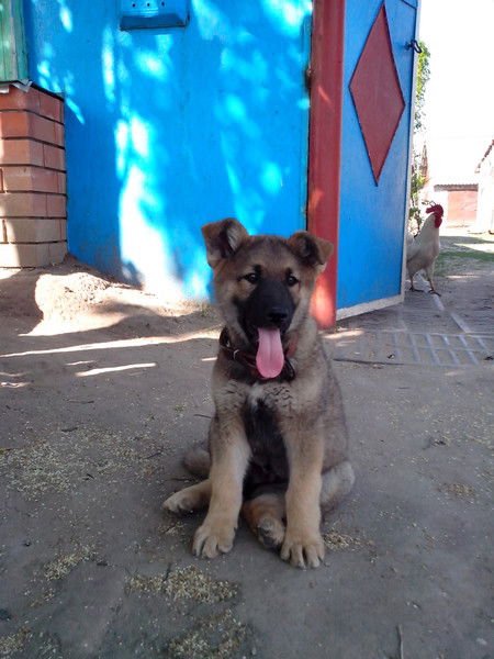 Олег Кабанов