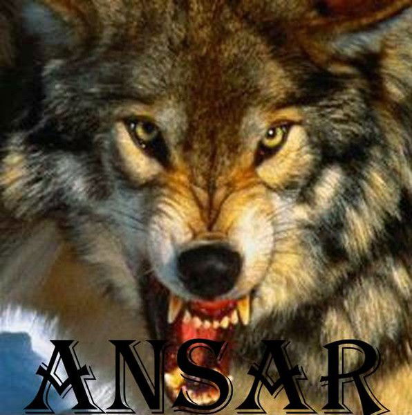 Ансар Чедлидзе