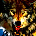 Ансар Чедлидзе