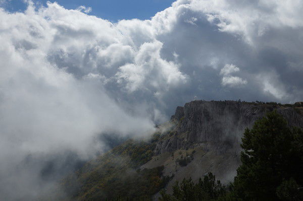 Милена Смирнова