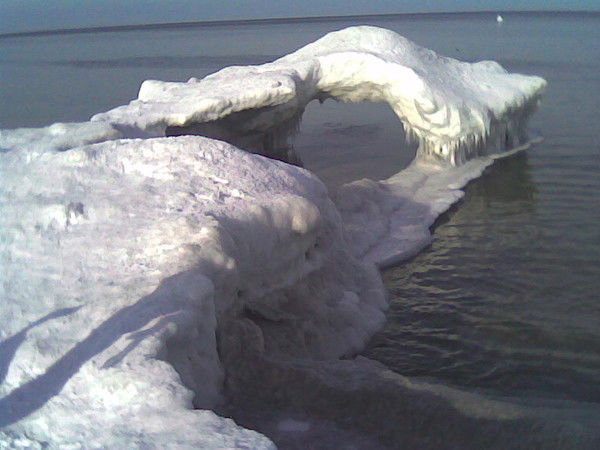 Валентина Маляревич