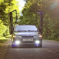 Александр Елкиев