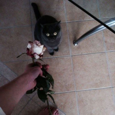 Екатерина Татаринова