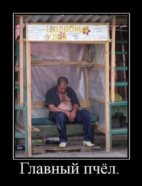 Неизвестно Неизвестно