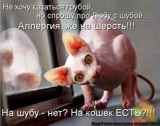 Юлия Кириллова