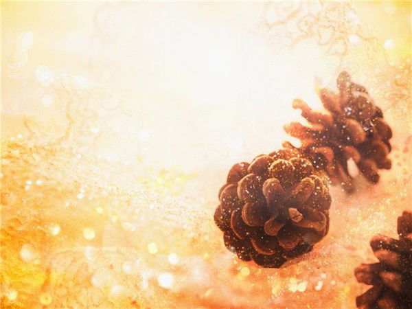 Татьяна Рыжикова