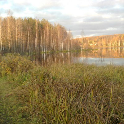 Светлана Буцкая