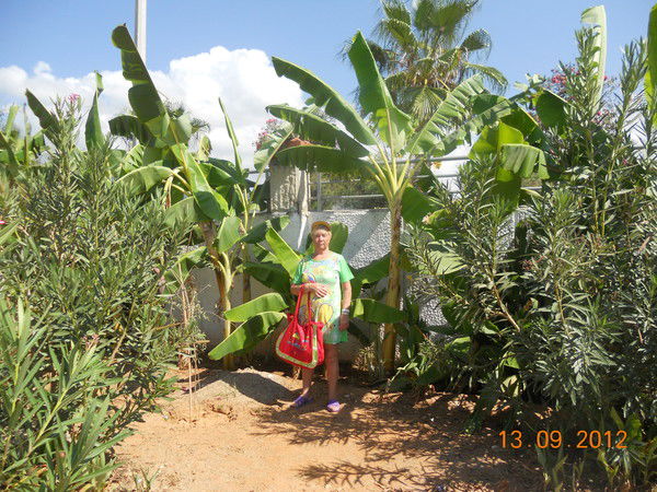 Екатерина Аксенова