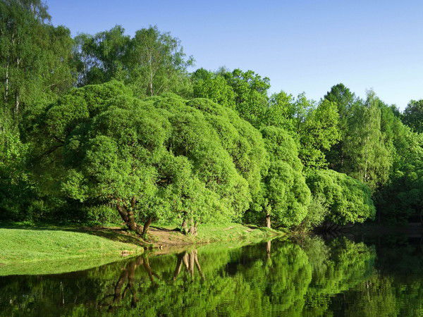 Гулзат Султанова