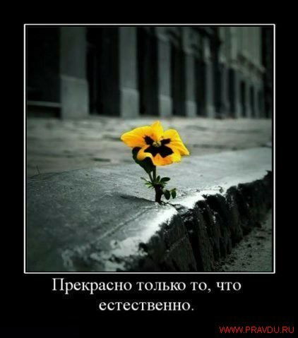 Кубатбек Атакулов