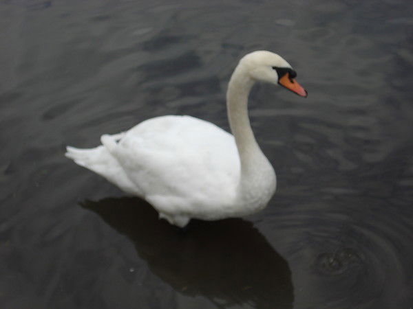 Юлия Уздемирова