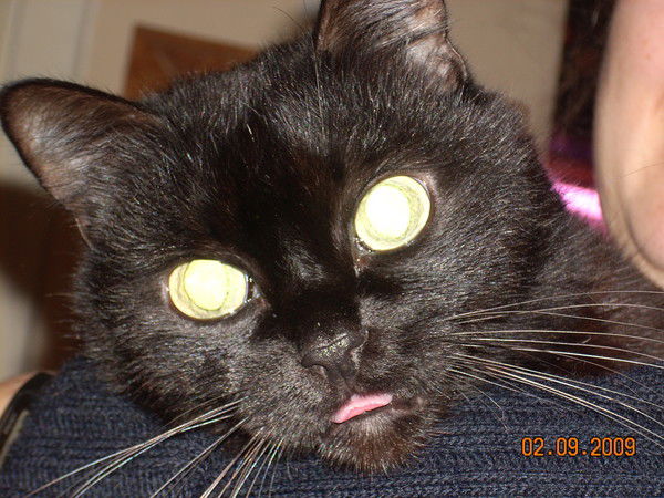 Александр Заярный