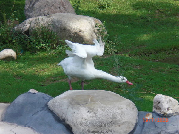 Екатерина Качур