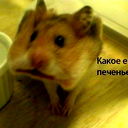 @@@ Елена @@@