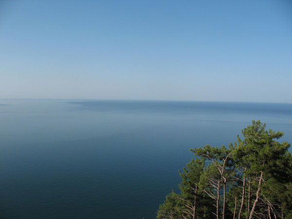 Екатерина Жукова