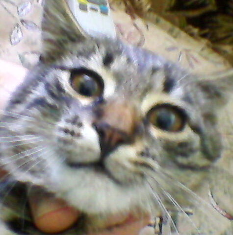 Хуан Санчо Де Леон