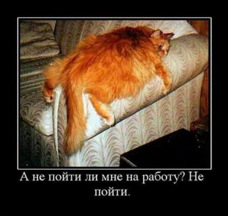 Равиль. Багаутдинов