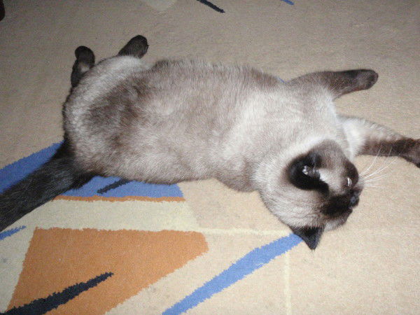 Наталья Новиченко